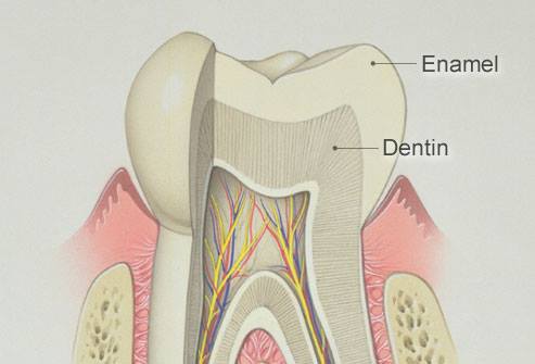 Tooth Enamel