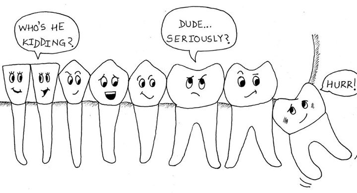 wisdom teeth